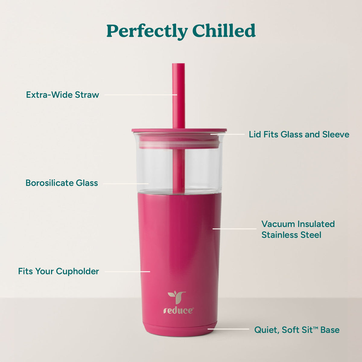 aspen-20-oz-i3 Aspen_Dragonfruit_PDP_Infographic2.jpg