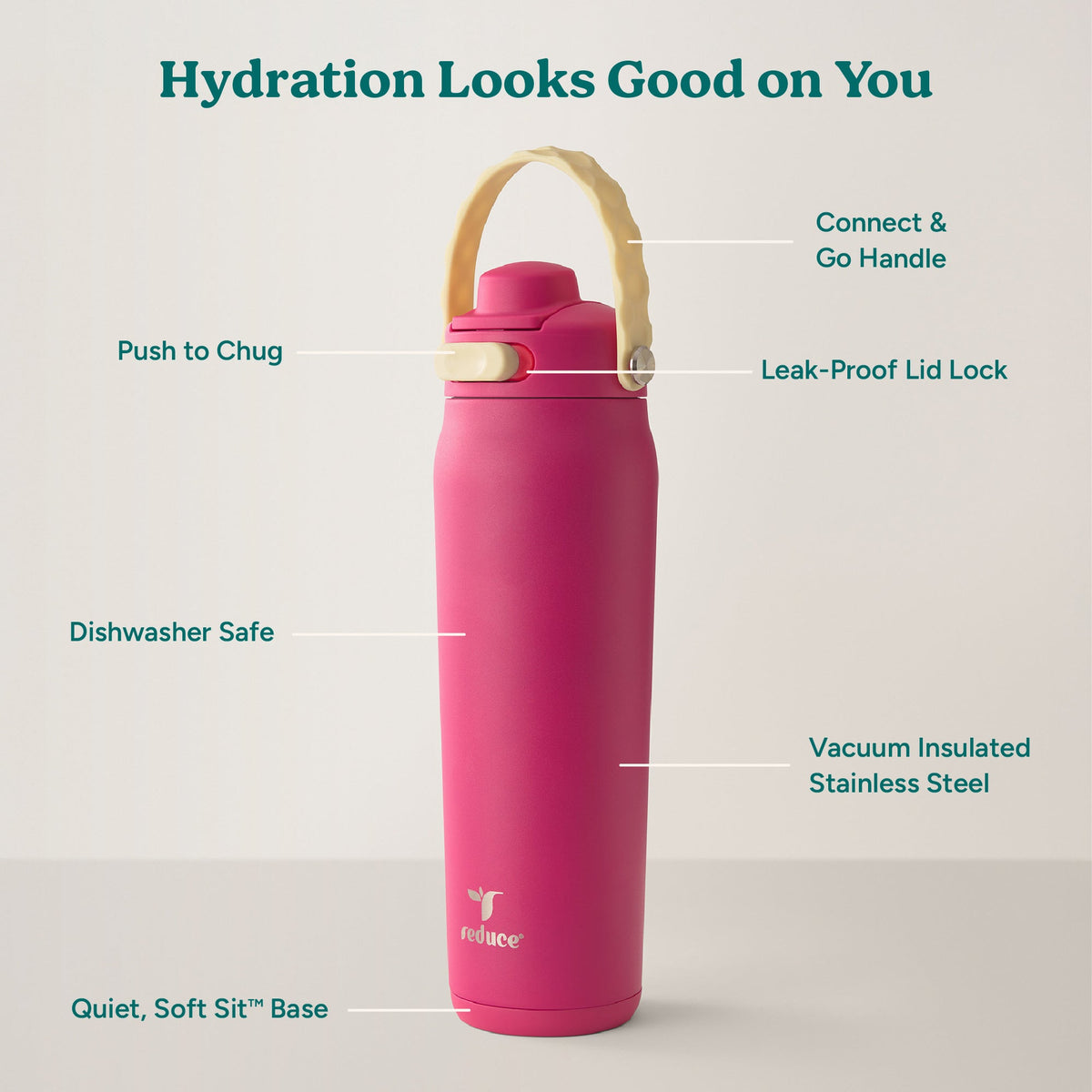 aura-26-oz-o9 Aura_26oz_DragonFruit_PDP_Infographic_2-03.jpg