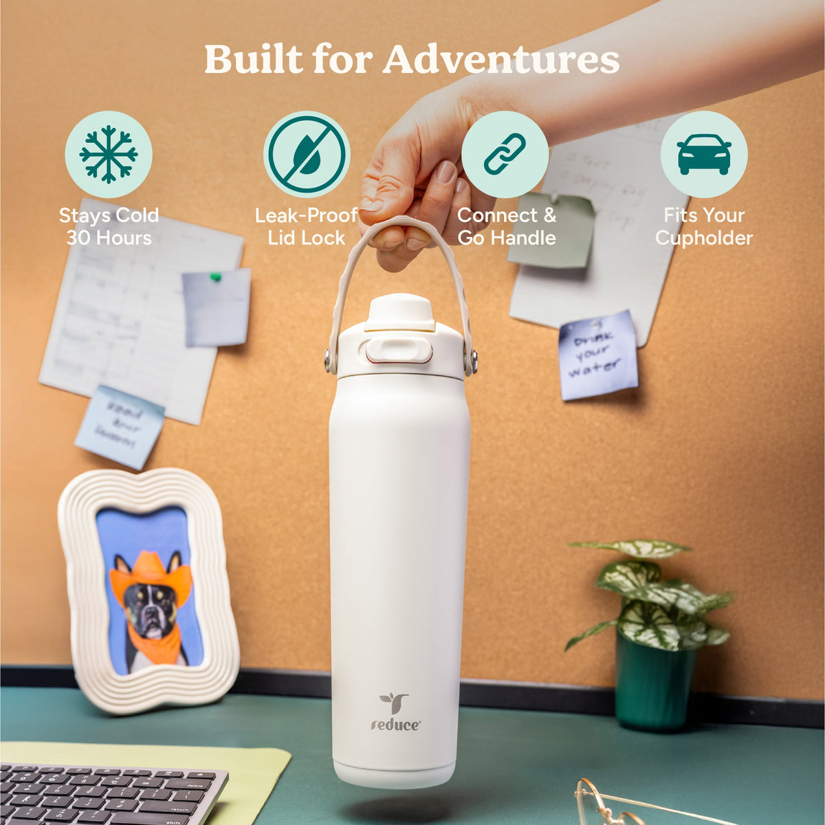 aura-26-oz-o9 Aura_26oz_Unbleached_PDP_Infographic_1.jpg